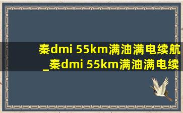 秦dmi 55km满油满电续航_秦dmi 55km满油满电续航测试